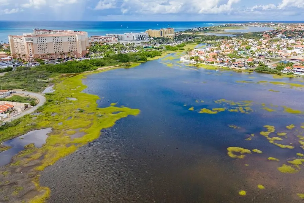 Serene 4Br Palm Beach Villa Beach Rose By Bocobay